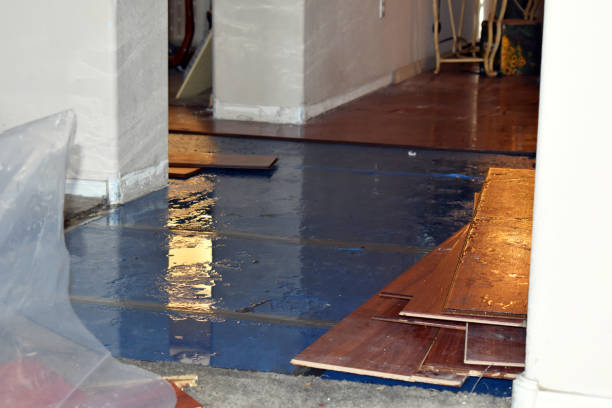Professional Water Damage Repair technician working in Hull, MA